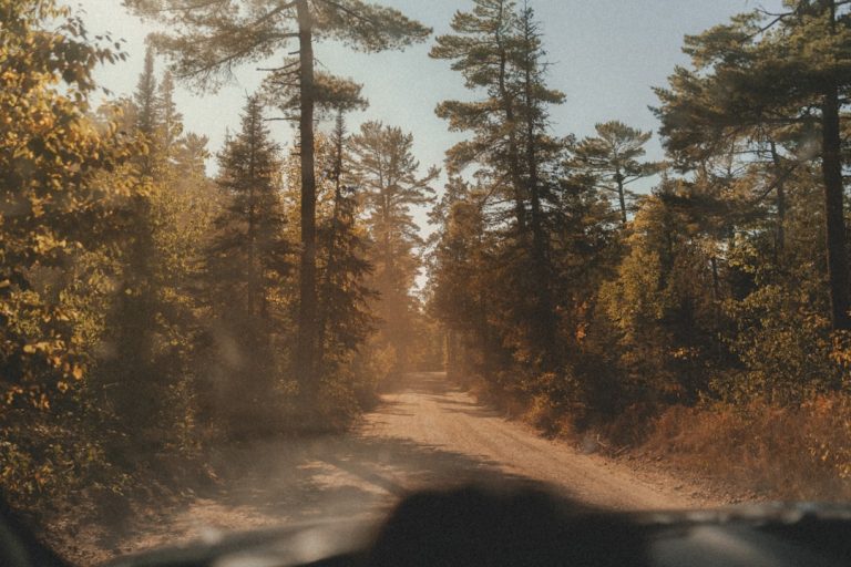 Embracing Nature: The Therapeutic Benefits of Outdoor Adventures